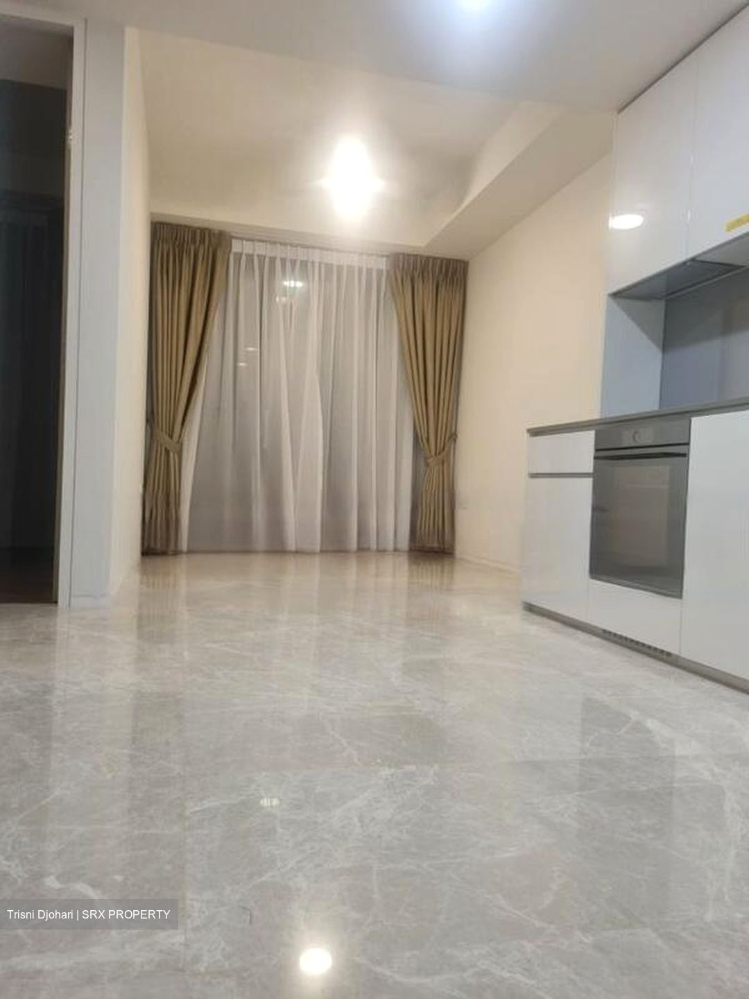 Amber Park (D15), Condominium #595722631